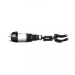 Arnott Air suspension strut Left